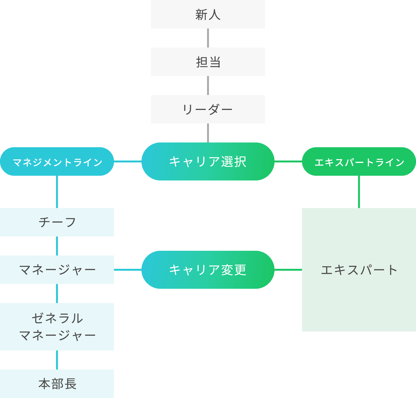 キャリアパス