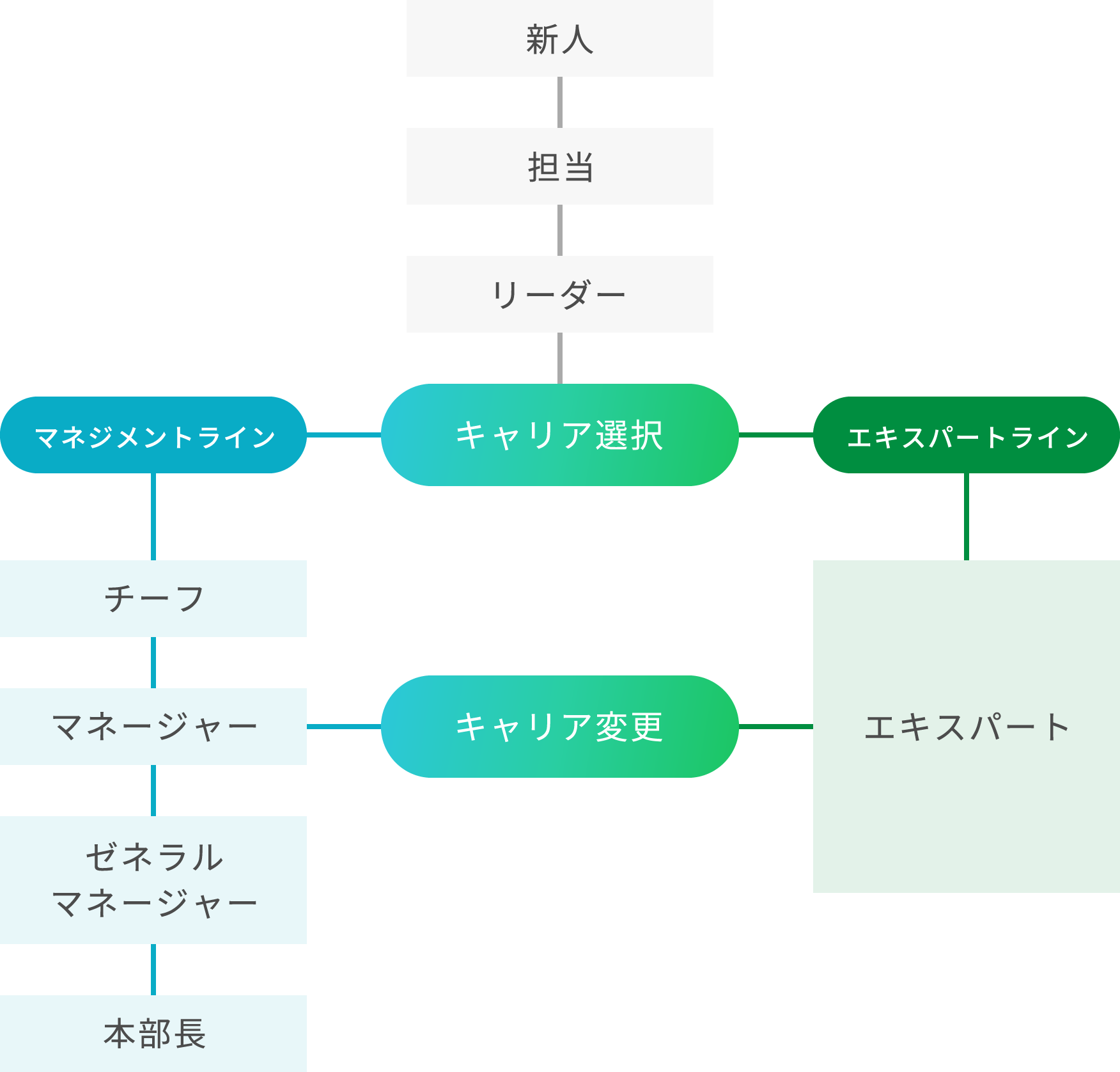 キャリア表